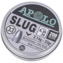 Śruty slug
